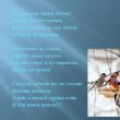 Презентация «Мастер-класс «Изготовление кормушки-лакомства для зимующих птиц